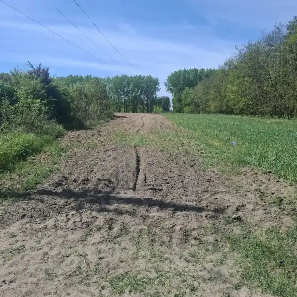 Eladó Szántó, Albertirsa 1956 m² 2.5 M Ft