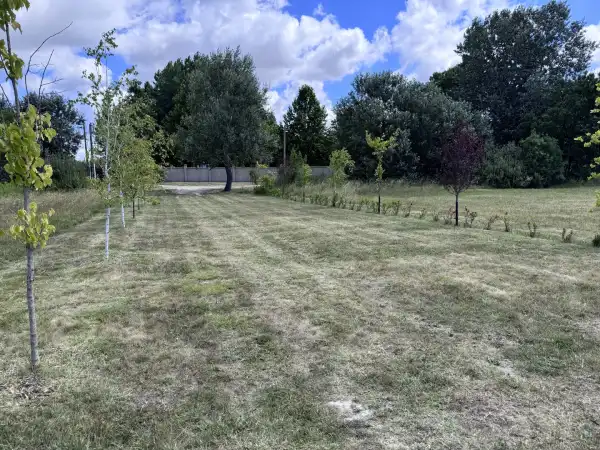 Eladó Szántó, Dabas 24820 m² 59.99 M Ft