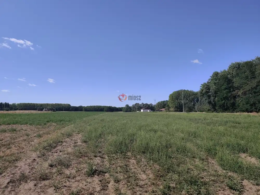 Pest megye - Hernád