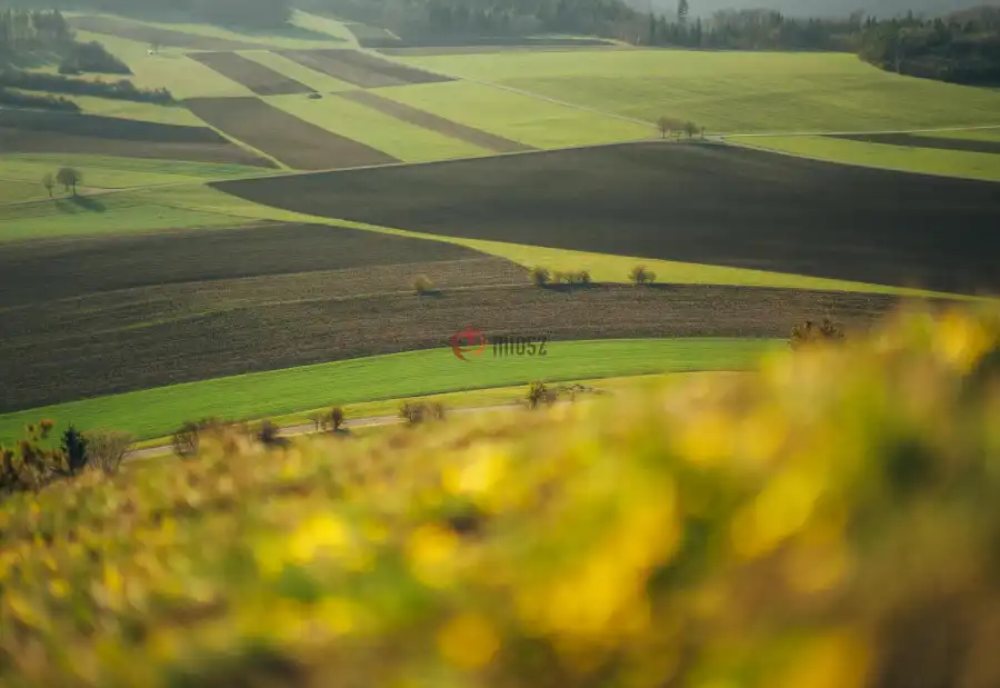 eladó  Szántó, Ispánk
