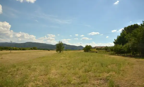 Eladó Szántó, Kismaros 9059 m² 75 M Ft