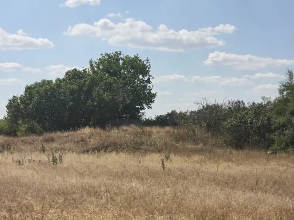 Eladó Szántó, Mikebuda 3769 m² 2.35 M Ft