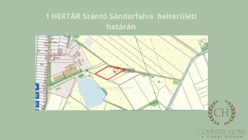 Csongrád megye - Sándorfalva