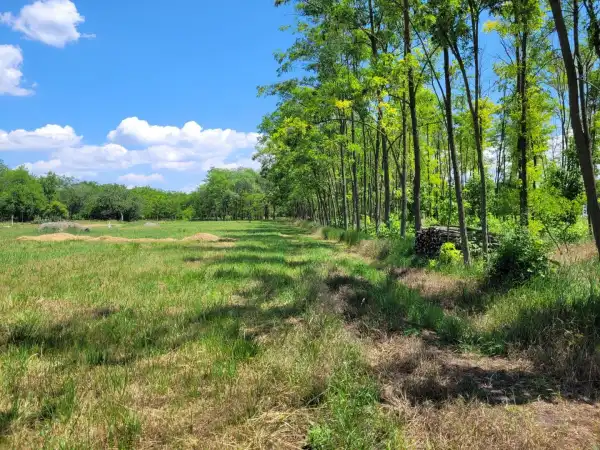 Eladó Szántó, Sándorfalva 15439 m² 8.99 M Ft