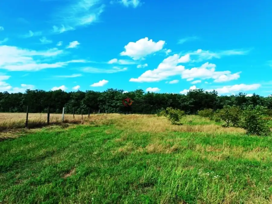 eladó  Szántó, Sződ