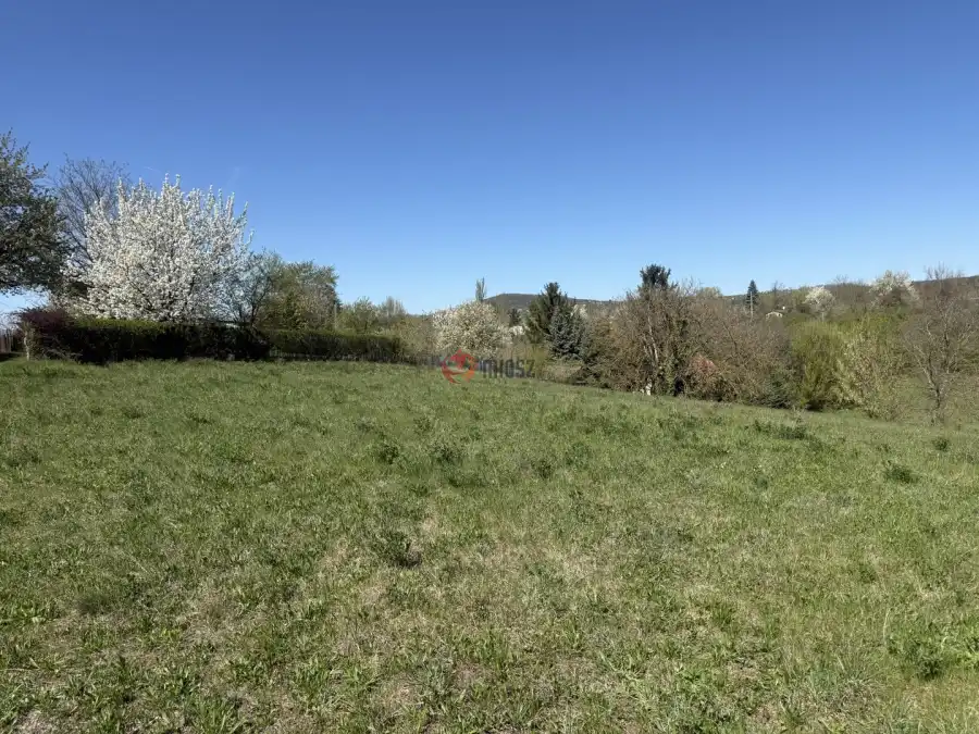 eladó  Szántó, Vác