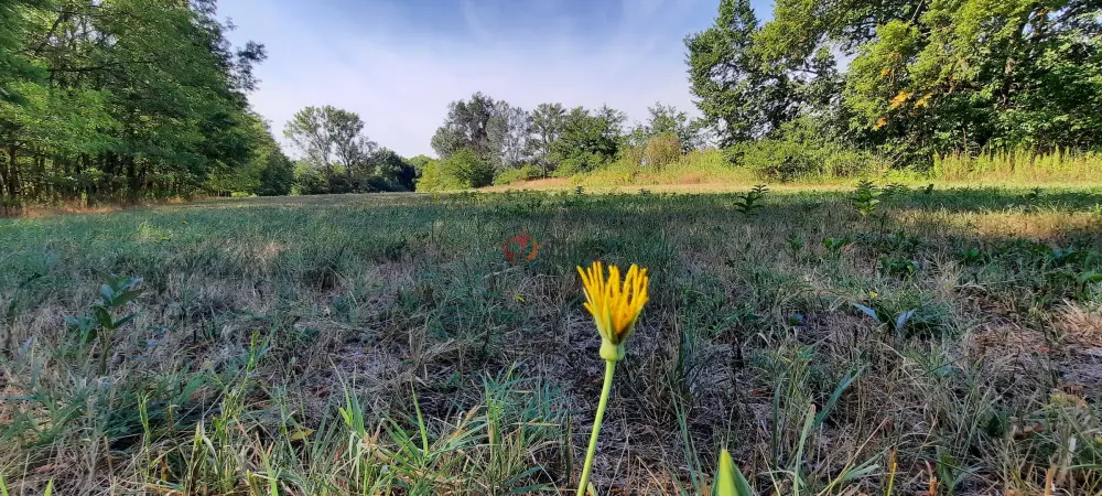 Pest megye - Vácrátót