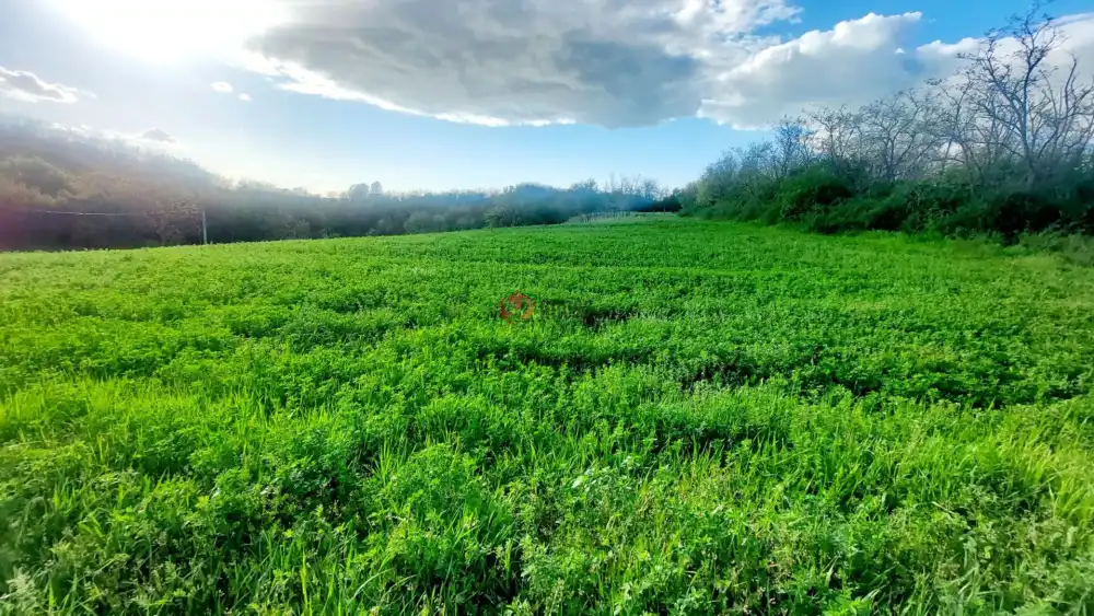 Somogy megye - Balatonendréd