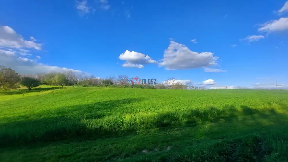 Somogy megye - Balatonendréd