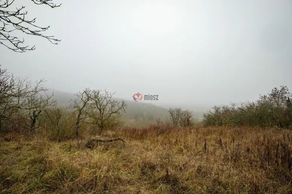 Komárom-Esztergom megye - Esztergom