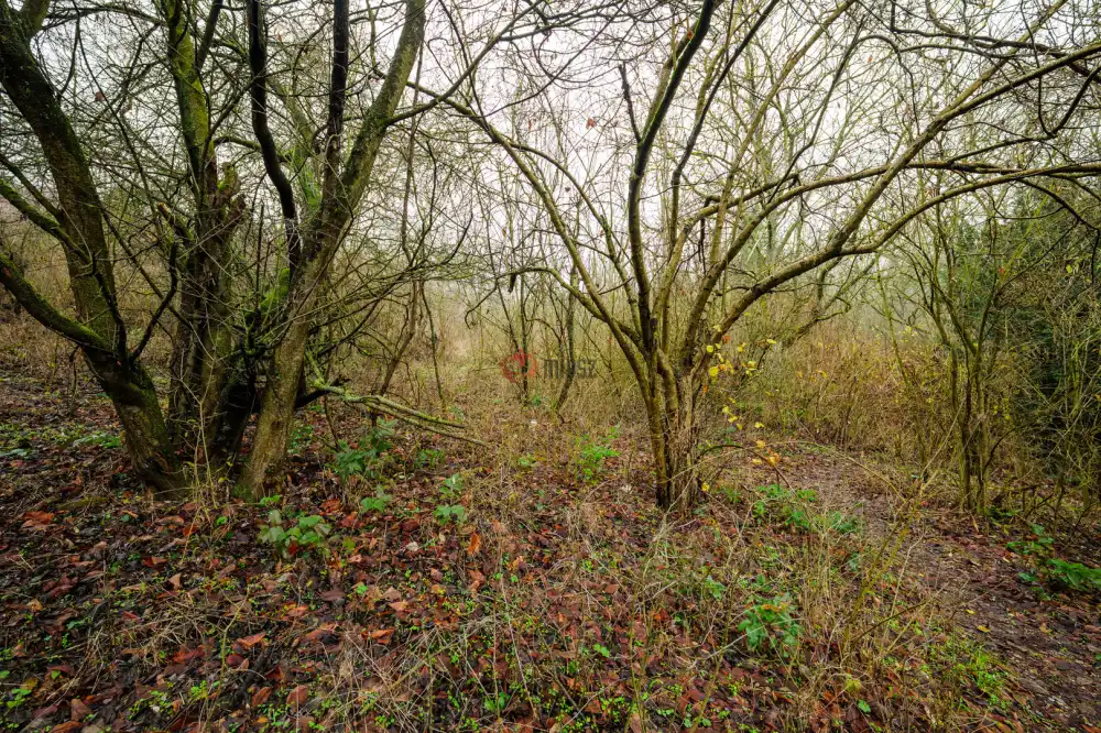 Komárom-Esztergom megye - Esztergom