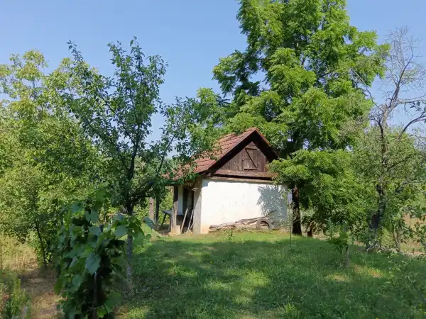 Eladó Szőlős, Lenti 1579 m² 2.1 M Ft