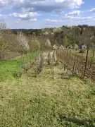 Zala megye - Lenti