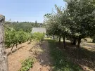Zala megye - Nagykanizsa