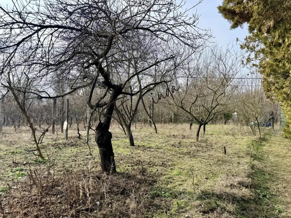 Komárom-Esztergom megye - Oroszlány