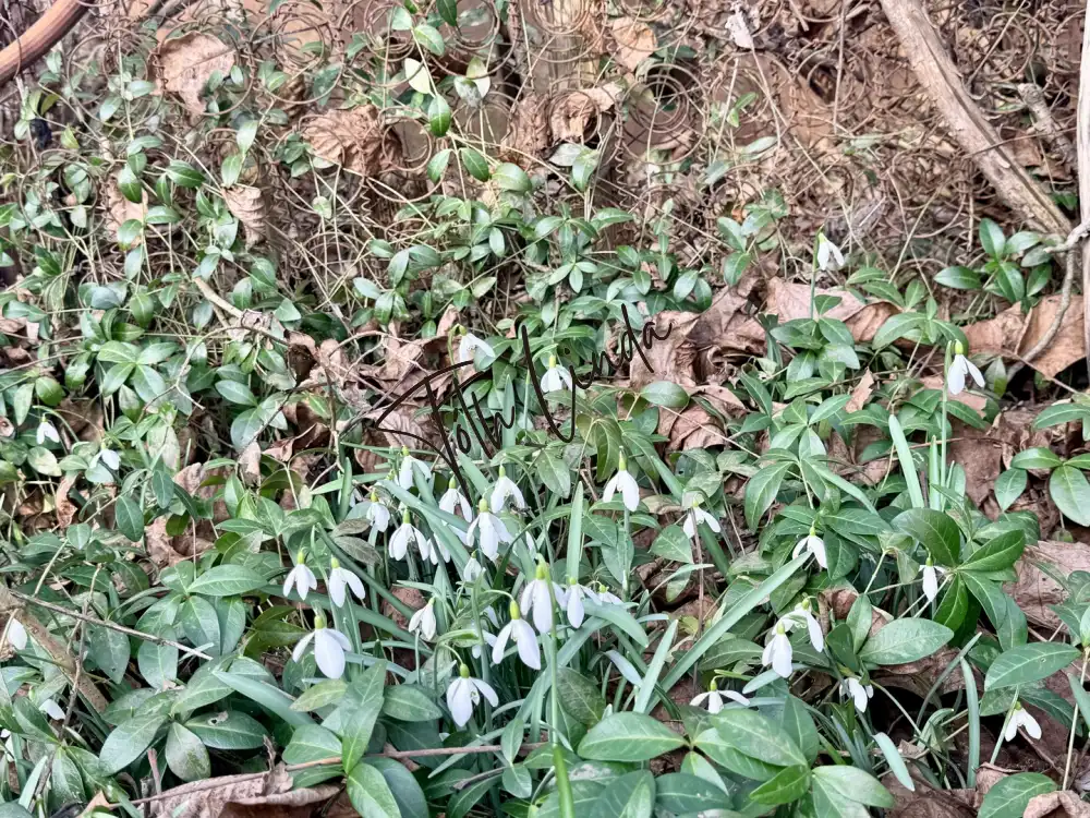 Komárom-Esztergom megye - Oroszlány