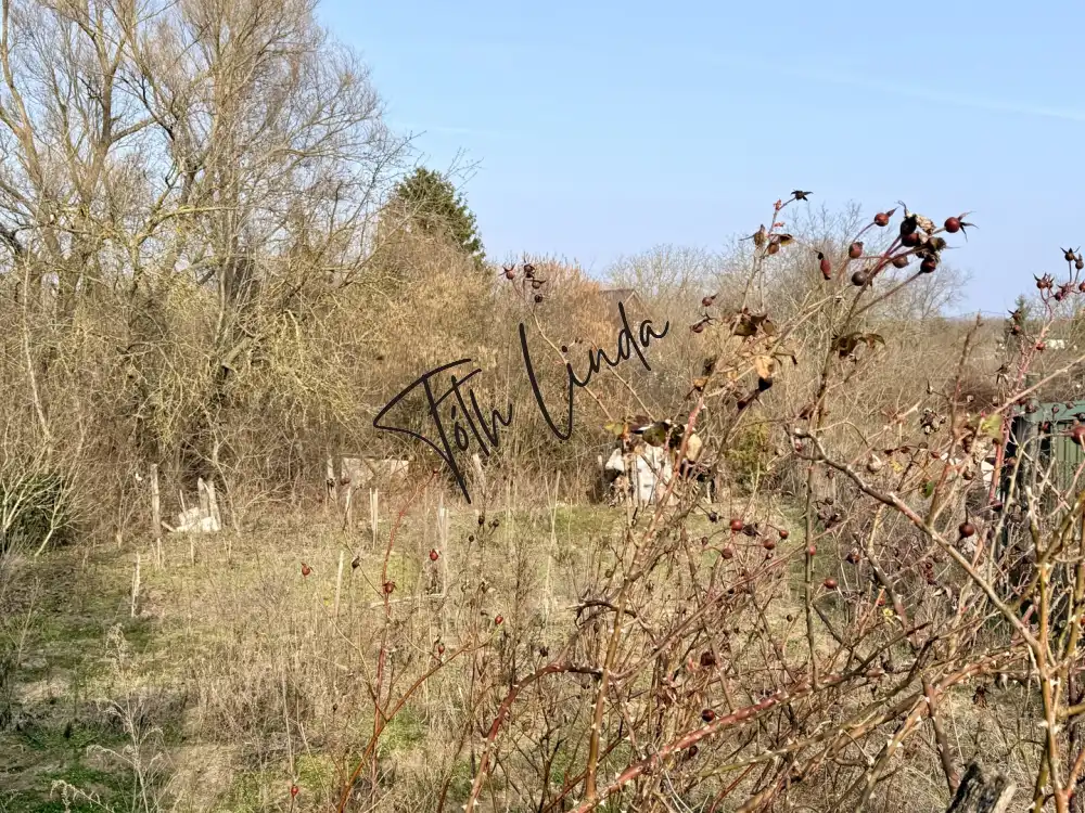 Komárom-Esztergom megye - Oroszlány