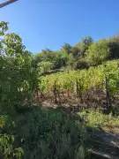 Veszprém megye - Tapolca