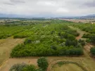 Pest megye - Vác