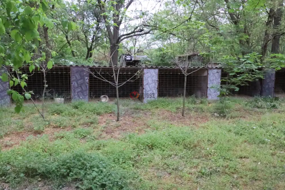 Pest megye - Albertirsa