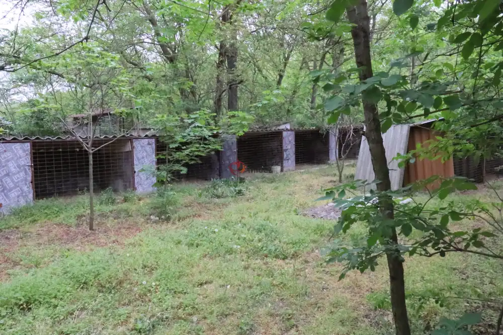 Pest megye - Albertirsa