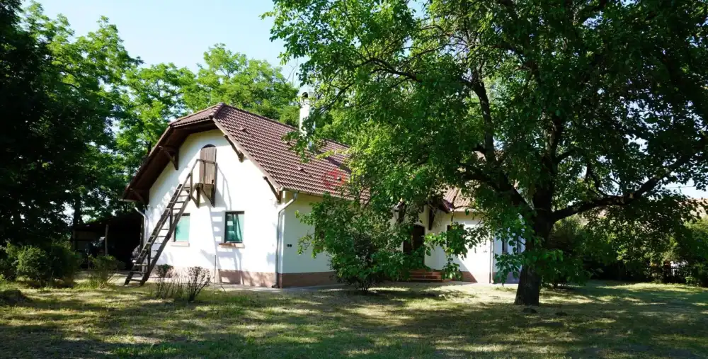 Csongrád megye - Balástya