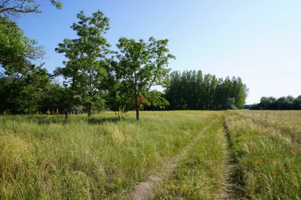 Csongrád megye - Balástya