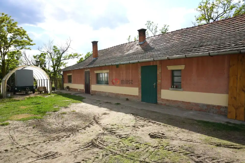 Csongrád megye - Balástya