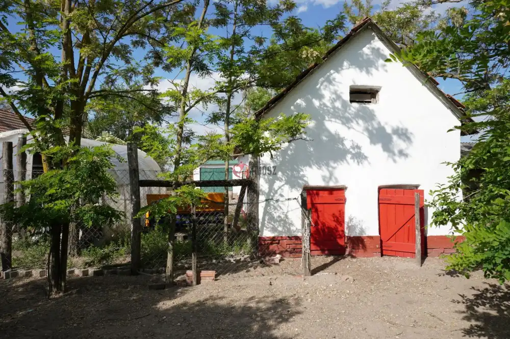 Csongrád megye - Balástya