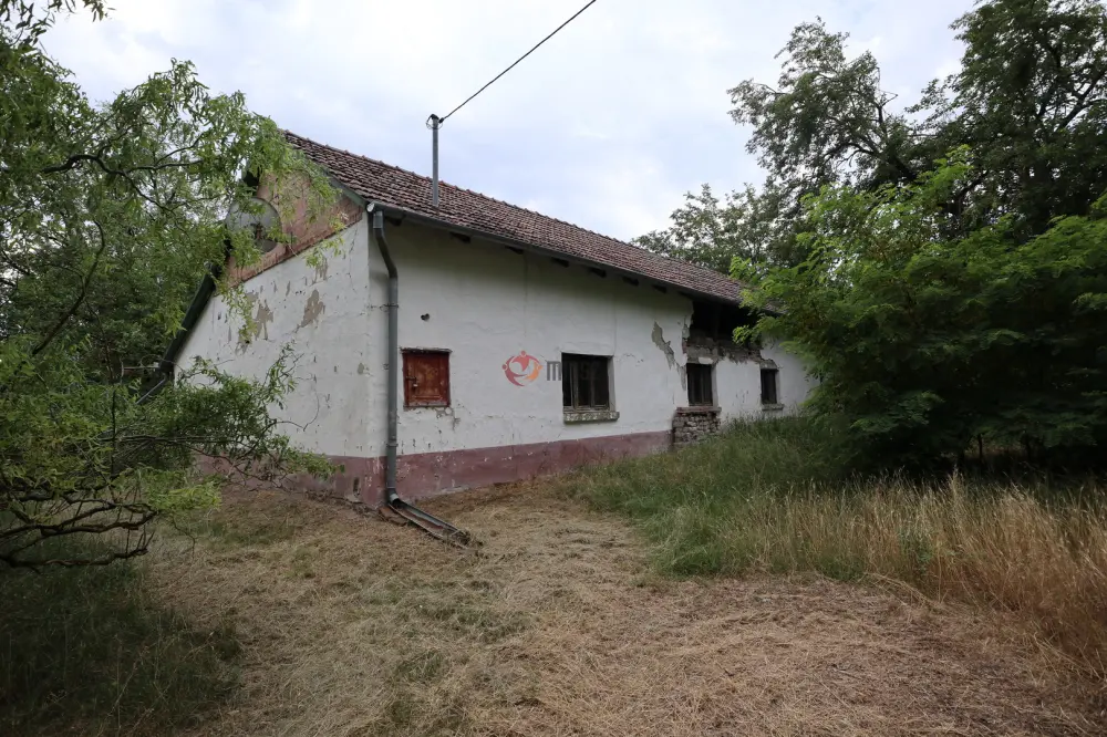 Csongrád megye - Balástya