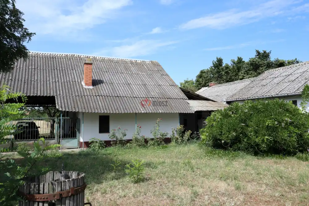 Csongrád megye - Balástya