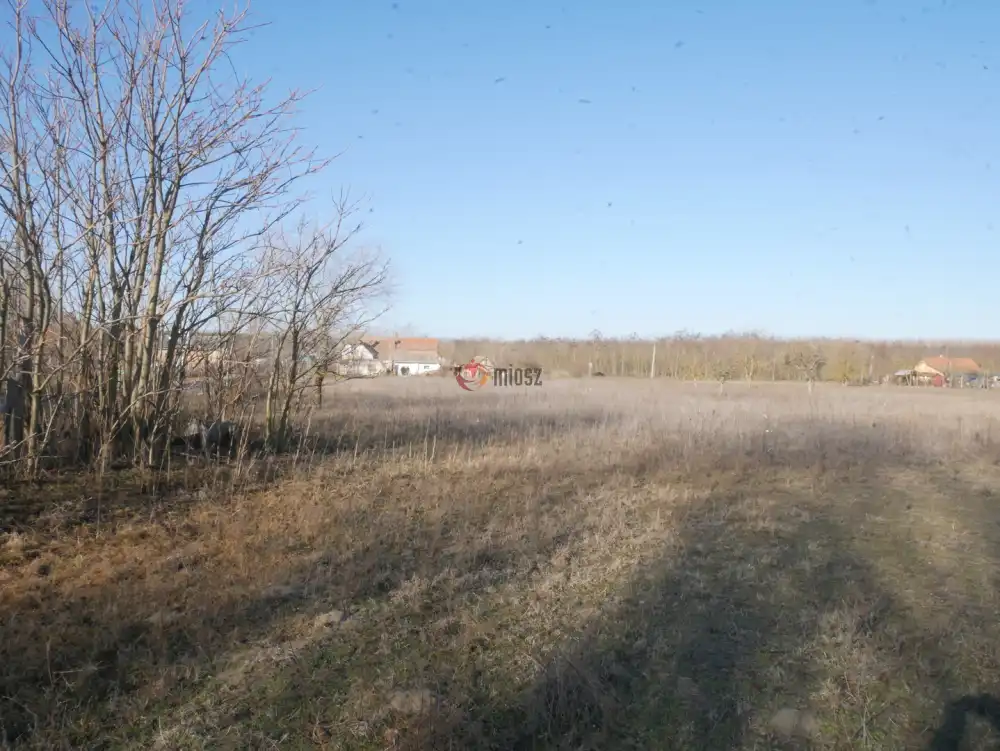 Pest megye - Csemő