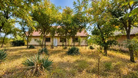 eladó tanya, Csengele