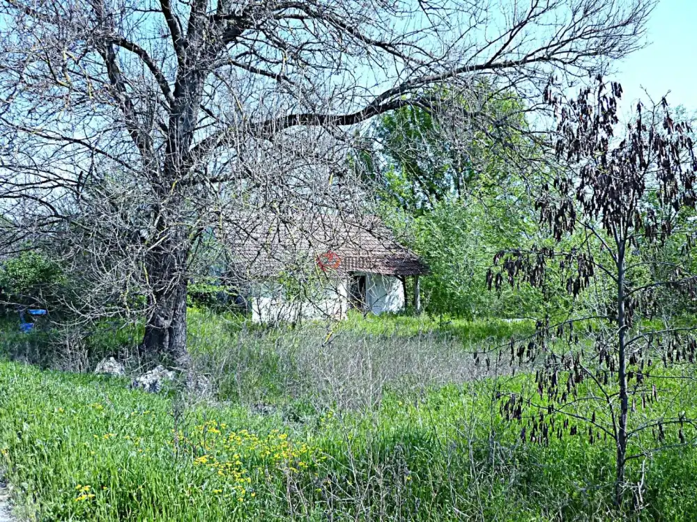 Csongrád megye - Dóc