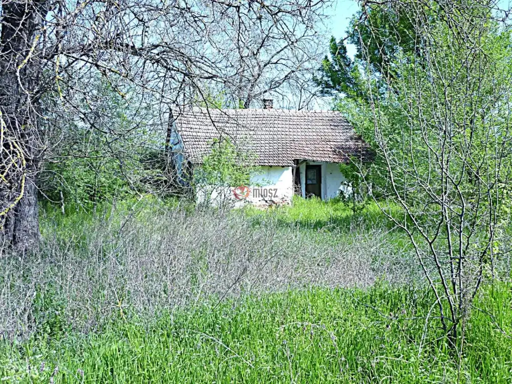 Csongrád megye - Dóc