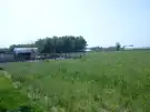 Csongrád megye - Domaszék
