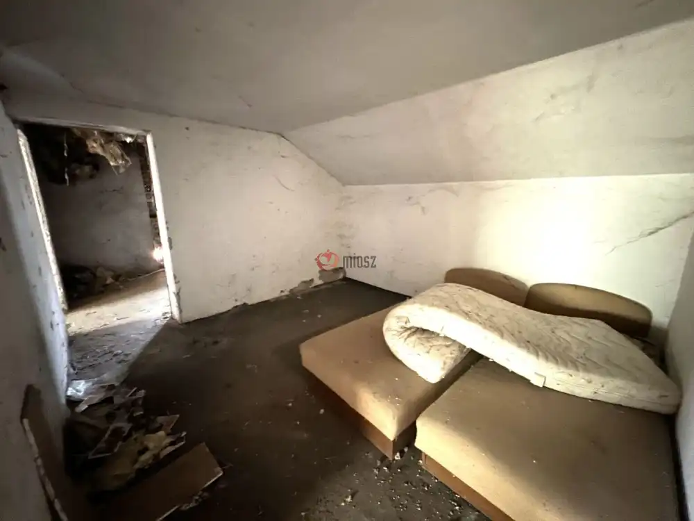 Csongrád megye - Domaszék