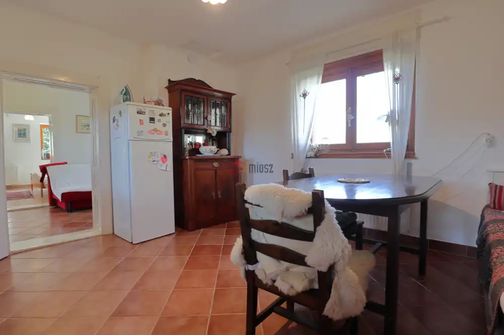 Csongrád megye - Domaszék