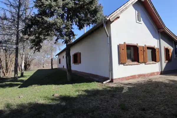 Eladó tanya, Domaszék 5 szoba 200 m² 62 M Ft