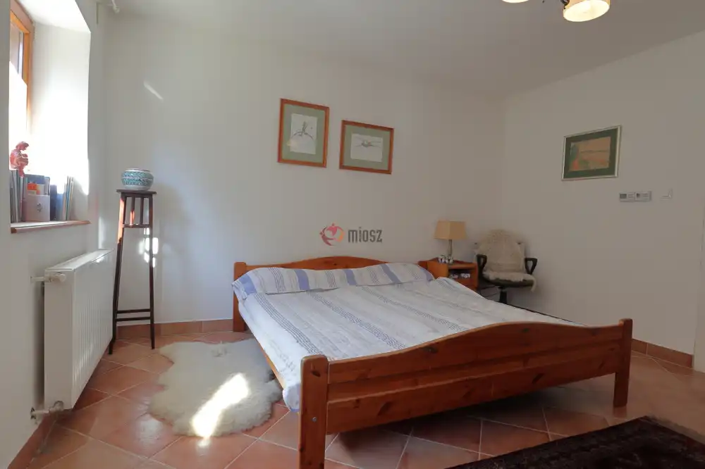 Csongrád megye - Domaszék