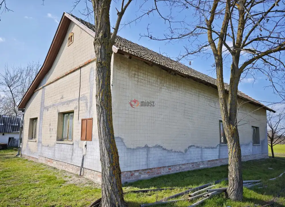 Csongrád megye - Forráskút