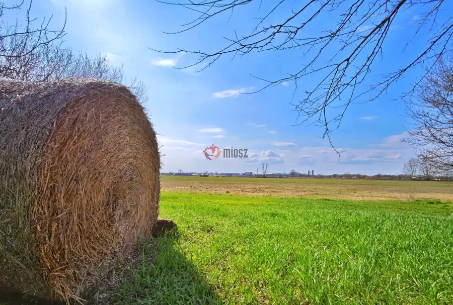 eladó tanya, Forráskút