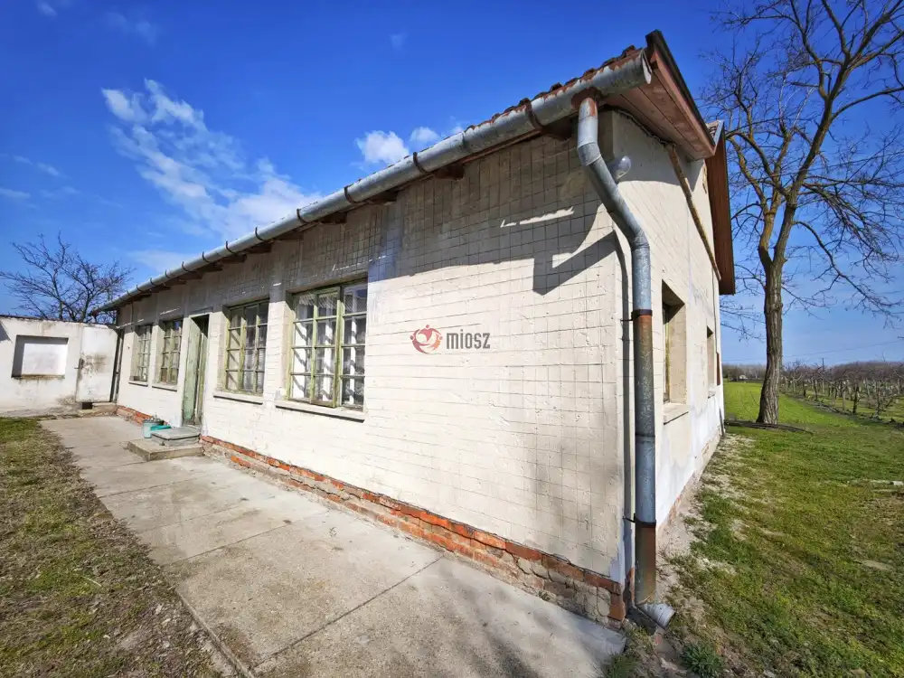 Csongrád megye - Forráskút