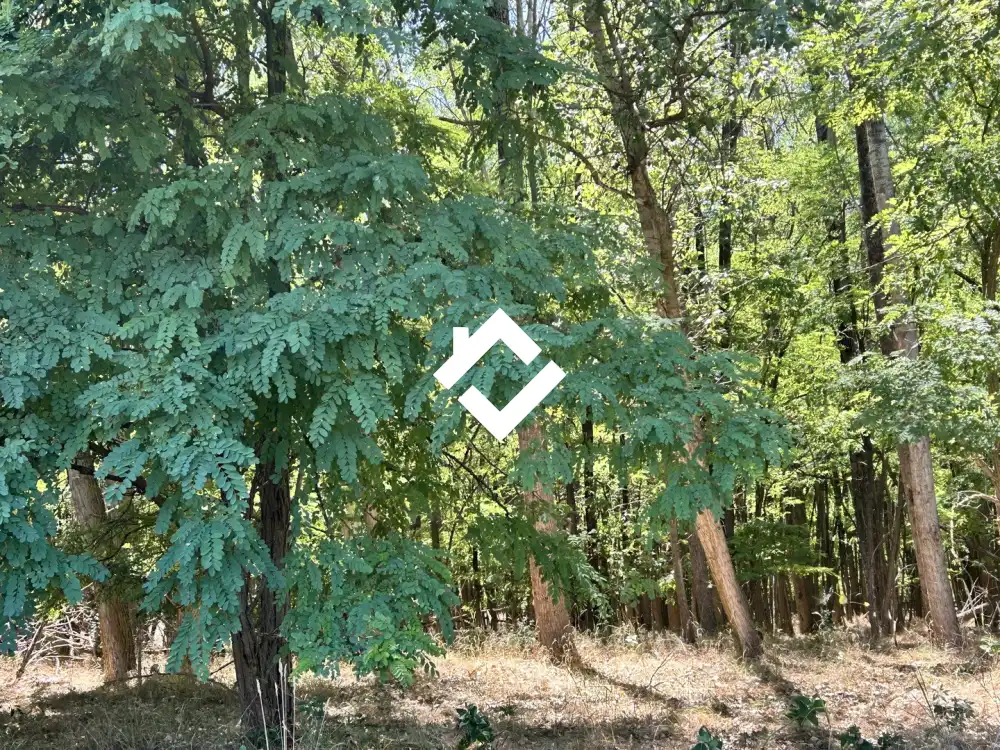 Bács-Kiskun megye - Fülöpháza