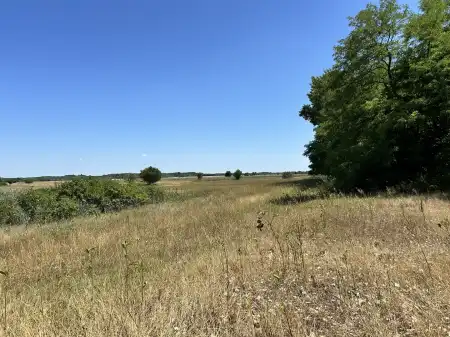 eladó tanya, Fülöpháza