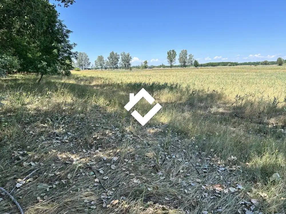 Bács-Kiskun megye - Fülöpháza