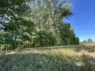 Bács-Kiskun megye - Fülöpháza