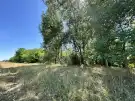 Bács-Kiskun megye - Fülöpháza