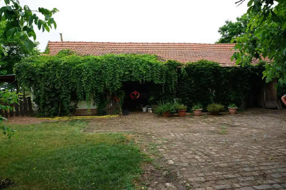 Békés megye - Gyula