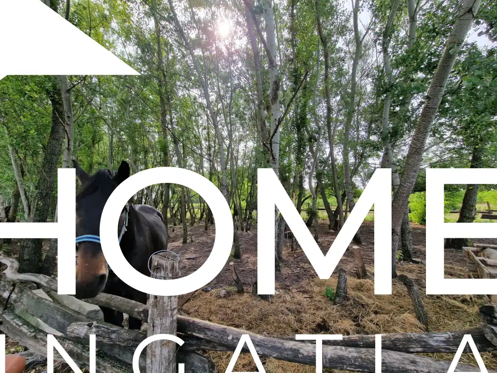 Bács-Kiskun megye - Kiskőrös